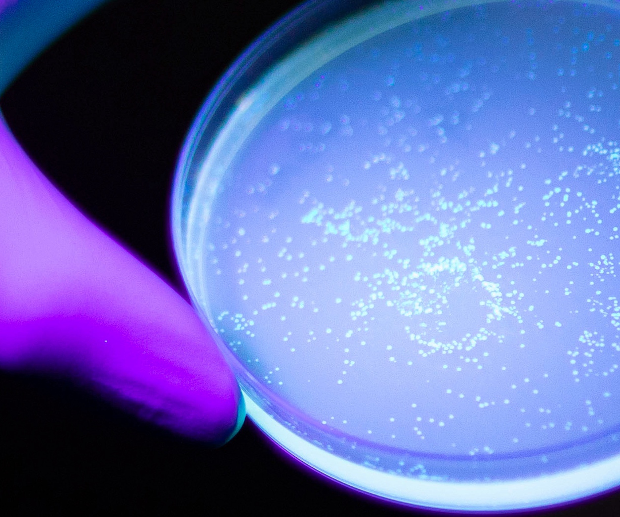 B.S. in Biological Sciences